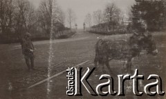 1930-1940, miejsce nieznane, Polska.
Orka.
Fot. NN, kolekcja rodziny Walińskich, zbiory Fundacji Ośrodka KARTA