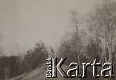 1930-1940, miejsce nieznane, Polska.
Kobieta z psem na spacerze.
Fot. NN, kolekcja rodziny Walińskich, zbiory Fundacji Ośrodka KARTA