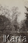 1930-1940, miejsce nieznane, Polska.
Ścieżka.
Fot. NN, kolekcja rodziny Walińskich, zbiory Fundacji Ośrodka KARTA