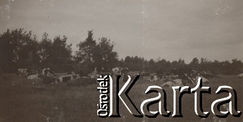 1930-1940, Jarantów, Polska.
Krowy na pastwisku.
Fot. NN, kolekcja rodziny Walińskich, zbiory Fundacji Ośrodka KARTA