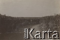 1930-1940, Jarantów, Polska.
Ścieżka.
Fot. NN, kolekcja rodziny Walińskich, zbiory Fundacji Ośrodka KARTA