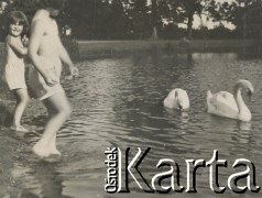 1930-1940, Jarantów, Polska.
Dzieci wchodzą do stawu. Po wodzie pływają łabędzie.
Fot. NN, kolekcja rodziny Walińskich, zbiory Fundacji Ośrodka KARTA