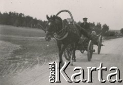 1930-1940, miejsce nieznane, Polska.
Mężczyzna jedzie w wozie.
Fot. NN, kolekcja rodziny Walińskich, zbiory Fundacji Ośrodka KARTA