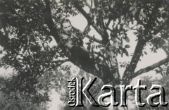 1930-1940, miejsce nieznane, Polska.
Mężczyzna na drzewie.
Fot. NN, kolekcja rodziny Walińskich, zbiory Fundacji Ośrodka KARTA