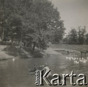 1930-1940, miejsce nieznane, Polska.
Chłopiec na koniu w jeziorze.
Fot. NN, kolekcja rodziny Walińskich, zbiory Fundacji Ośrodka KARTA