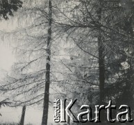 1930-1940, miejsce nieznane, Polska.
Zima. Drzewa pokryte śniegiem.
Fot. NN, kolekcja rodziny Walińskich, zbiory Fundacji Ośrodka KARTA