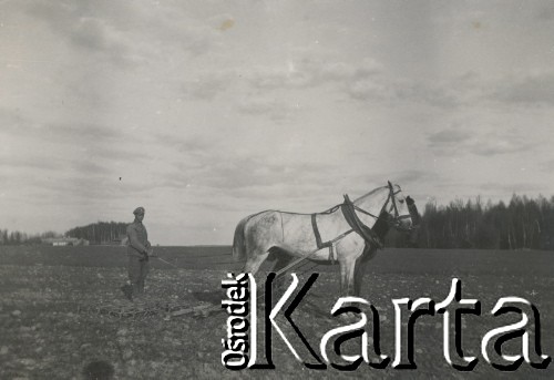 1930-1940, miejsce nieznane, Polska.
Orka. Chłop przy pracy.
Fot. NN, kolekcja rodziny Walińskich, zbiory Fundacji Ośrodka KARTA