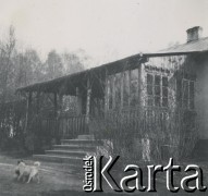 1930-1940, miejsce nieznane, Polska.
Dom. Przed domem psy.
Fot. NN, kolekcja rodziny Walińskich, zbiory Fundacji Ośrodka KARTA