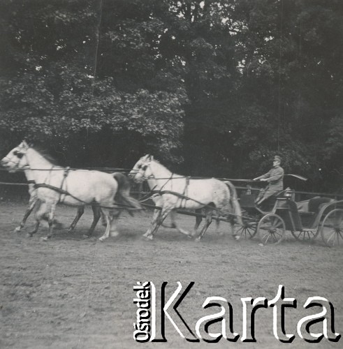 1930-1950, miejsce nieznane, Polska.
Powóz konny. W powozie mężczyzna.
Fot. NN, kolekcja rodziny Walińskich, zbiory Fundacji Ośrodka KARTA