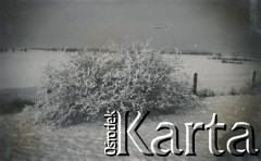 1930-1950, miejsce nieznane, Polska.
Krajobraz zimowy.
Fot. NN, kolekcja rodziny Walińskich, zbiory Fundacji Ośrodka KARTA