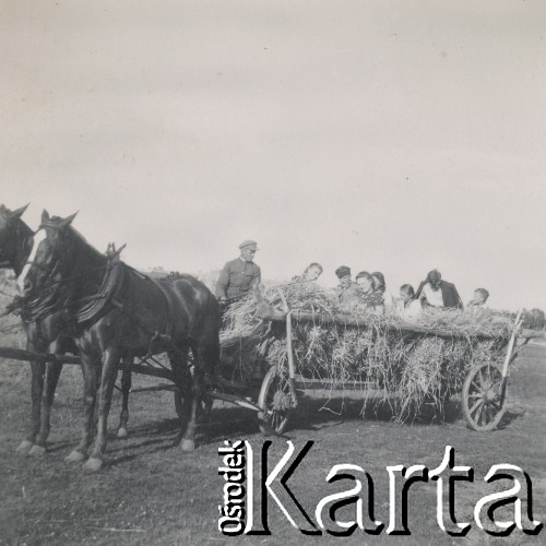 1930-1950, miejsce nieznane, Polska.
Ludzie. Siedzą na wozie ze słomą.
Fot. NN, kolekcja rodziny Walińskich, zbiory Fundacji Ośrodka KARTA