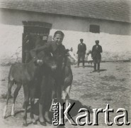 1930-1950, miejsce nieznane, Polska.
Dziewczyna ze źrebakami. Bliżej stajni stoją pzostałe osoby.
Fot. NN, kolekcja rodziny Walińskich, zbiory Fundacji Ośrodka KARTA