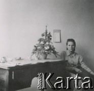 1930-1950, miejsce nieznane, Polska.
Kobieta. Siedzi w fotelu.
Fot. NN, kolekcja rodziny Walińskich, zbiory Fundacji Ośrodka KARTA
