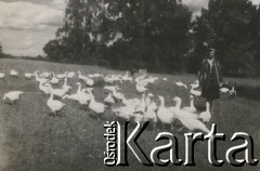 1930-1950, miejsce nieznane, Polska.
Kobiety na łące. Po trawie chodzą kaczki.
Fot. NN, kolekcja rodziny Walińskich, zbiory Fundacji Ośrodka KARTA