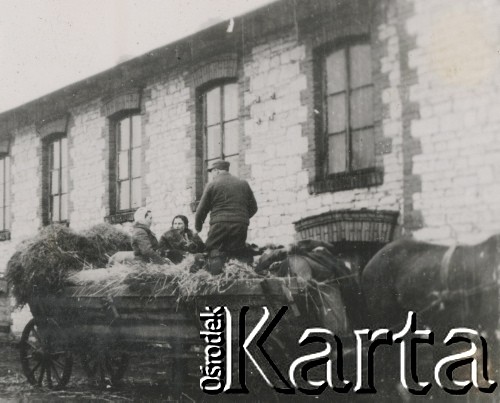 1930-1950, miejsce nieznane, Polska.
Ludzie na sianie w wozie. W tle budynki.
Fot. NN, kolekcja rodziny Walińskich, zbiory Fundacji Ośrodka KARTA
