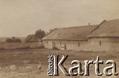 1910-1920, miejsce nieznane, Polska.
Kaczki na wsi. Z boku stajnia.
Fot. NN, kolekcja rodziny Walińskich, zbiory Fundacji Ośrodka KARTA
