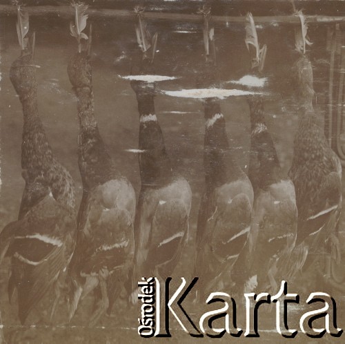 1910-1920, miejsce nieznane, Polska.
Martwe ptaki.
Fot. NN, kolekcja rodziny Walińskich, zbiory Fundacji Ośrodka KARTA