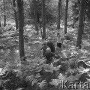 Lipiec 1962, leśniczówka Pieczysko, Polska.
Dzieci na spacerze w lesie.
Fot. Romuald Broniarek, zbiory Ośrodka KARTA