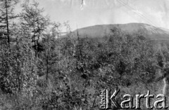 1955, Norylsk, Krasnojarski Kraj, ZSRR.
Góra Schmidta (popularnie zwana Szmitycha). 
Fot. NN, zbiory Ośrodka KARTA, udostępnił Antoni Marcinkiewicz.
