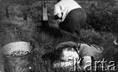 1955, okolice Magadanu, Kołyma, Magadańska obł., ZSRR.
Zbieranie jagód. Leży Janina Durlikowa.
Fot. NN, zbiory Ośrodka KARTA, udostępniła Janina Durlik