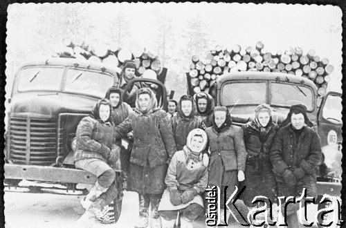 Brak daty, ZSRR.
Grupa osóbi w waciakach między dwiema ciężarówkami załadowanymi drewnem.
Fot. NN, zbiory Ośrodka KARTA, udostępniła Wasylyna Salamon