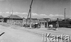 1953, Atamanowo nad Jenisiejem, Krasnojarski Kraj, ZSRR
Wacław Olasikowicz (pije wodę przy studni) po zwolnieniu z łagru. 
Fot. NN, zbiory Ośrodka KARTA, przekazał Wacław Olasikowicz