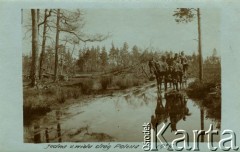 1925, Polesie, Polska
Bryczka na zalanej wodą drodze. Podpis pod zdjęciem: 