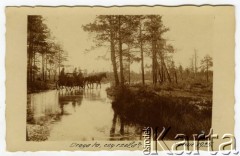 1925, Polesie, Polska
Bryczka na zalanej wodą drodze, podpis pod zdjęciem: 