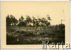 1947, Osuchy Lubelskie, Polska.
Cmentarz partyzantów, poległych w czerwcu 1944 w bitwie pod Osuchami.
Fot.  Marian i Stefan Borowiec, zbiory Fundacji Ośrodka KARTA