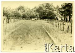 06.1957, Osuchy Lubelskie, Polska.
Cmentarz partyzantów, poległych w czerwcu 1944 w bitwie pod Osuchami.
Fot. Marian i Stefan Borowiec, zbiory Fundacji Ośrodka KARTA