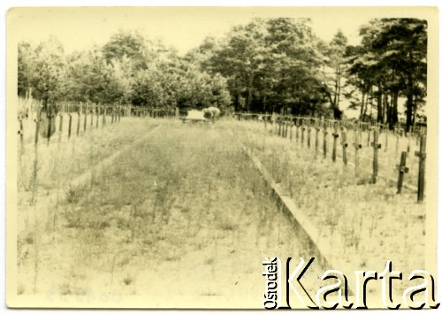 06.1957, Osuchy Lubelskie, Polska.
Cmentarz partyzantów, poległych w czerwcu 1944 w bitwie pod Osuchami.
Fot. Marian i Stefan Borowiec, zbiory Fundacji Ośrodka KARTA
