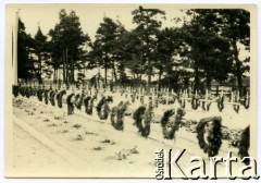 06.1957, Osuchy Lubelskie, Polska.
Cmentarz partyzantów, poległych w czerwcu 1944 w bitwie pod Osuchami.
Fot. Marian i Stefan Borowiec, zbiory Fundacji Ośrodka KARTA