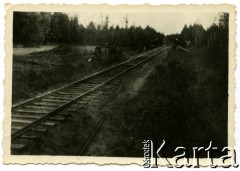 Ok. 1944, miejsce nieznane, Zamojszczyzna, Polska.
Szczątki wykolejonego przez partyzantów pociągu.
Fot. Marian i Stefan Borowiec, zbiory Fundacji Ośrodka KARTA