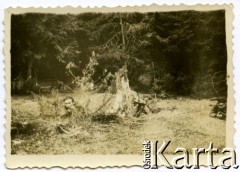 Ok. 1944, miejsce nieznane, Zamojszczyzna, Polska.
Partyzanci.
Fot. Marian i Stefan Borowiec, zbiory Fundacji Ośrodka KARTA