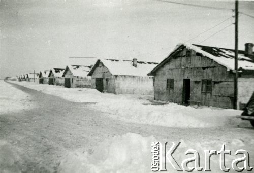 Zima 1940, Comisani, Rumunia
Baraki w obozie Comisani IV dla internowanych polskich żołnierzy.
Fot. NN, zbiory Ośrodka KARTA, udostępnił Tadeusz Dubicki.