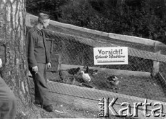 1941, Smoleńsk, ZSRR.
Kwatery lotników niemieckich, zagroda dla drobiu, napis na ogrodzeniu: 
