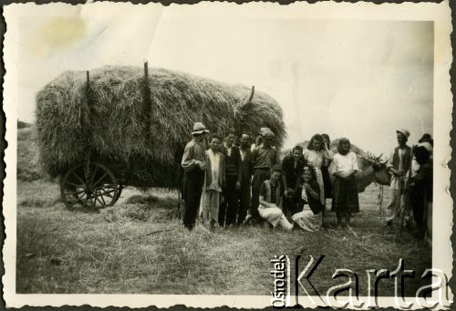 Sierpień 1942, Gubauca, Rumunia.
Prace polowe, grupa osób obok wozu z sianem.
Fot. NN, zbiory Ośrodka KARTA, udostępniła Wanda Bem