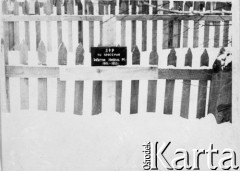 Czerwiec 1956, Piskunowka, Krasnojarski Kraj, ZSRR.
Mogiła Wiktora Hajdula zmarłego podczas zesłania w lutym 1955 r.
Fot. NN, zbiory Ośrodka KARTA, udostępniła Maria Hajdul