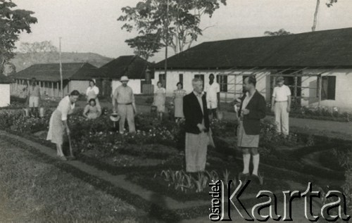 1944, Koja, Uganda.
Mieszkańcy osiedla pracują w ogrodzie. W głębi widać budynki, w których mieścił się szpital. [W osiedlu Koja w latach 1942-1948 mieszkało ok. 3000 Polaków, którzy z żołnierzami Armii Andersa zostali ewakuowani do Iranu].
Fot. NN, zbiory Ośrodka KARTA , udostępniła Maria Wierzchowska [AW - II/1681]