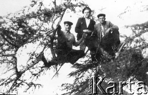 23.09.1954, Kołyma, Magadańska obł., ZSRR.
W konarach drzewa grupa więźniów łagru, pierwszy z prawej: Leon Cydzik.
Fot. NN, zbiory Ośrodka KARTA, udostępnił Maria Cydzik