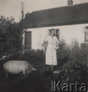 Lato 1942, Kiszyniów, Rumunia.
Kasia karmi świnkę i kury przed domem.
Fot. NN, zbiory Ośrodka KARTA, udostępnił Tadeusz Gaydamowicz.