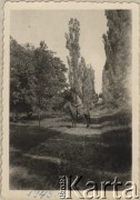 Wrzesień 1943, Kiszyniów, Rumunia.
Tadeusz Gaydamowicz na koniu.
Fot. NN, zbiory Ośrodka KARTA, udostępnił Tadeusz Gaydamowicz.