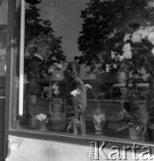 lata 60-te, Warszawa, Polska
Witryna kwiaciarni.
Fot. Irena Jarosińska, zbiory Ośrodka KARTA