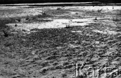 Lata 80., Polska.
Piasek.
Fot. Irena Jarosińska, zbiory Ośrodka KARTA