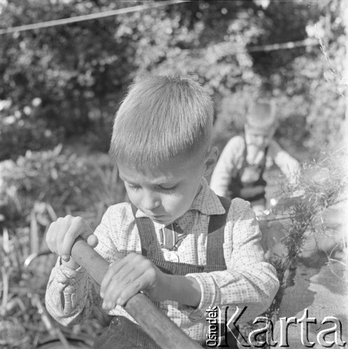 1962, Wrocław, Polska.
Dwóch z czworga braci Majewskich w ogrodzie.
Fot. Irena Jarosińska, zbiory Ośrodka KARTA.
