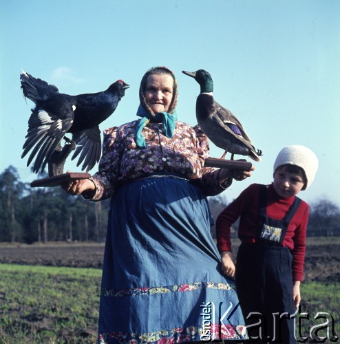 lata 70., Polska.
Kobieta prezentująca wypchane ptaki.
Fot. Irena Jarosińska, zbiory Ośrodka KARTA