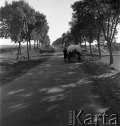 1958, Polska.
Cygański tabor.
Fot. Irena Jarosińska, zbiory Ośrodka Karta.