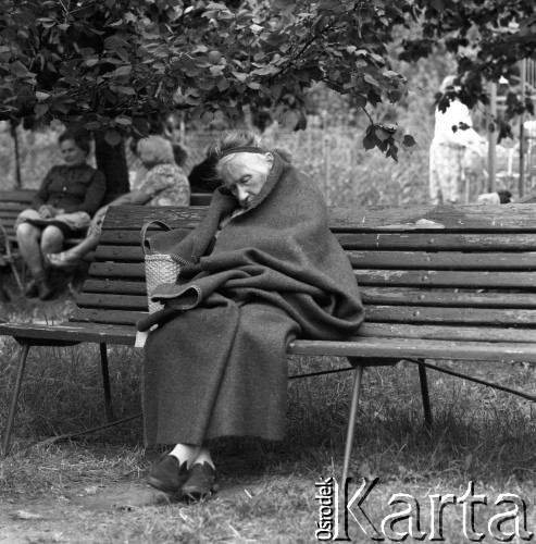 Lata 60. lub 70., Polska.
Odpoczynek w parku.
Fot. Irena Jarosińska, zbiory Ośrodka KARTA