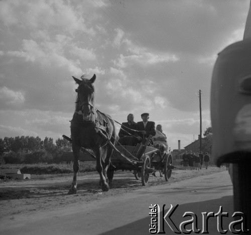 1961, Kurpiowszczyzna, Polska.
Wóz konny.
Fot. Irena Jarosińska, zbiory Ośrodka KARTA 

