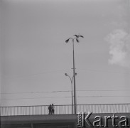 Lata 70., Warszawa, Polska.
Most.
Fot. Irena Jarosińska, zbiory Ośrodka KARTA